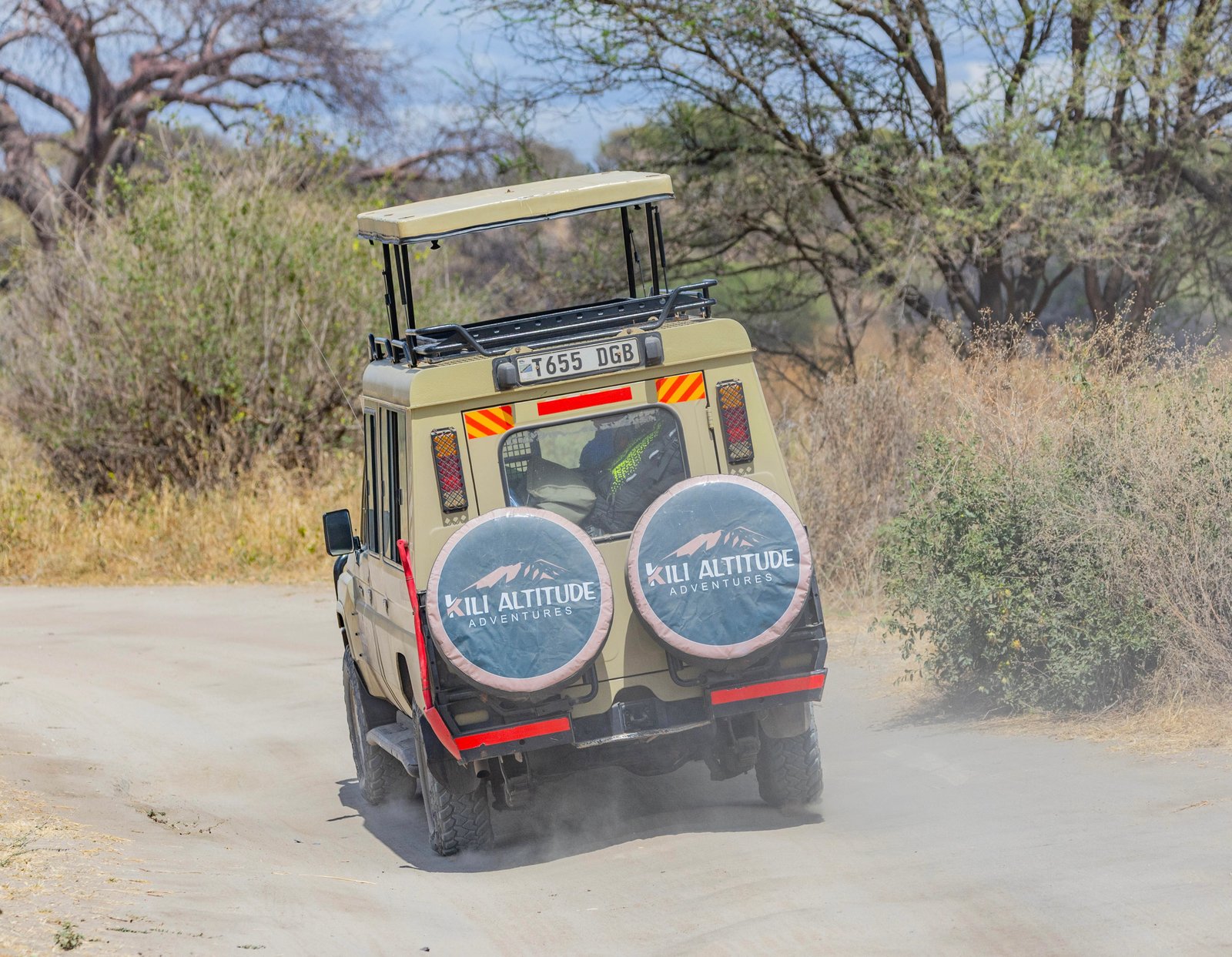 1 Day Tarangire Safari