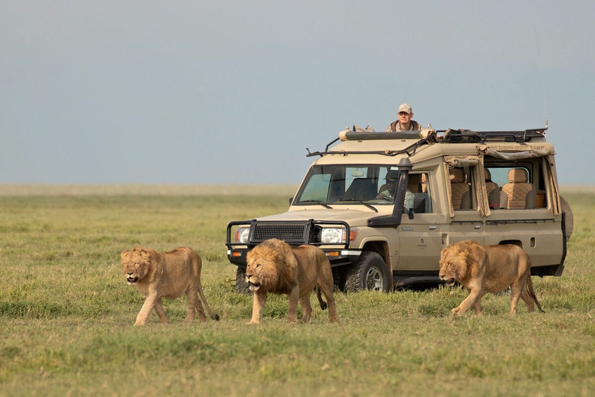 3 Days Serengeti Safari