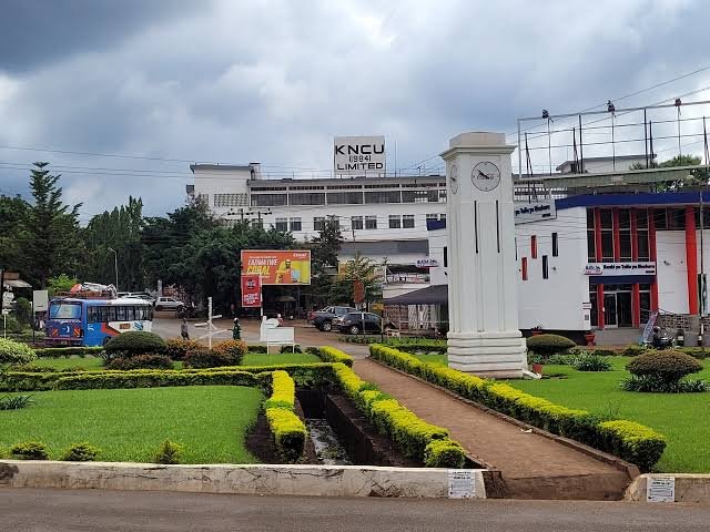 Moshi Town Tour