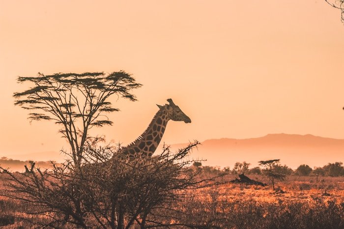 Responsible tourism in Tanzania