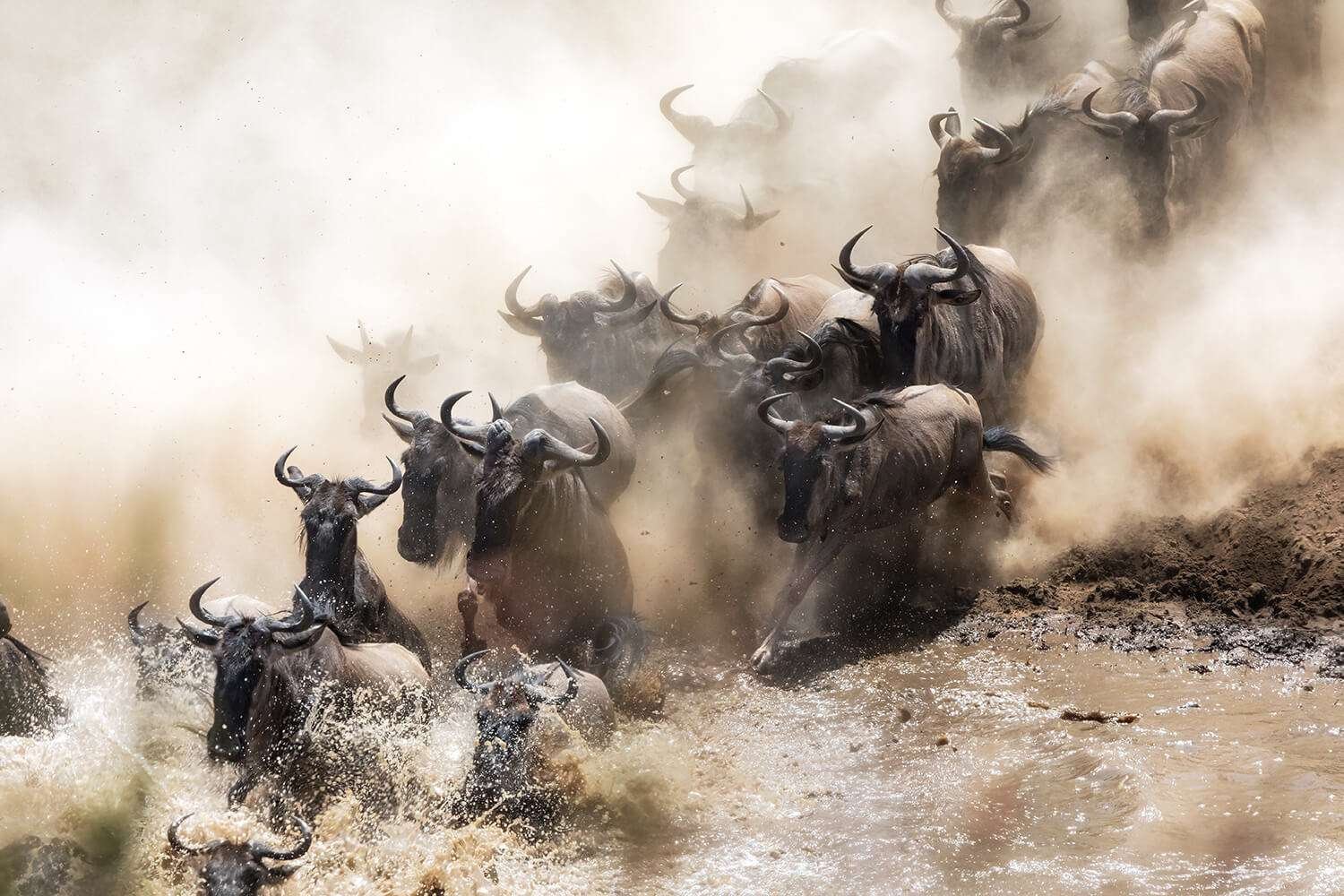 Serengeti National Park